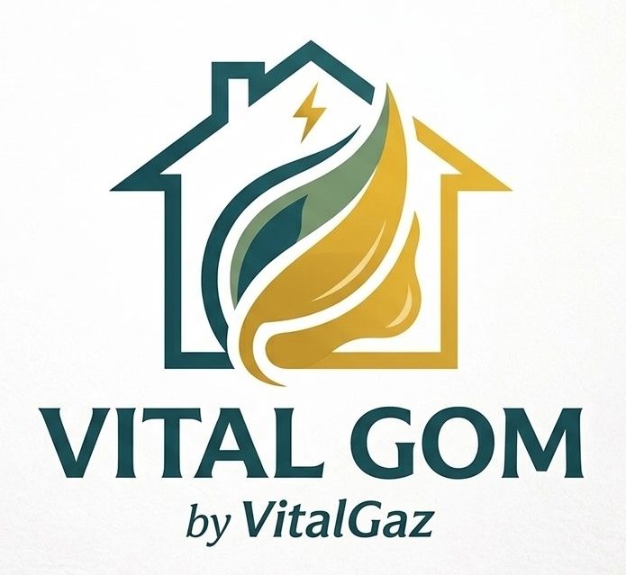 Logo VitalGom