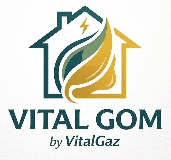 Logo VitalGom